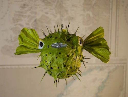 Le poisson diodon