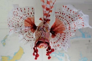 Deuxième rascasse en papier mâché avec voilure translucide